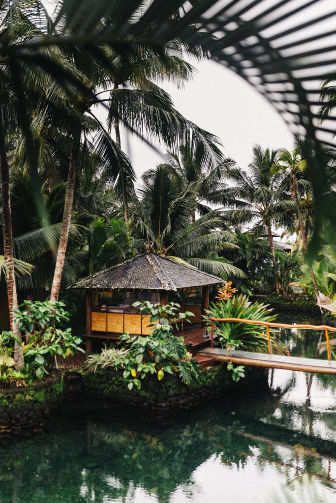 Xiaomi Mi 10: New Variant with Snapdragon 870 Review